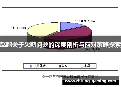 赵鹏关于欠薪问题的深度剖析与应对策略探索